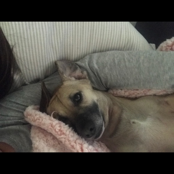 Meet your Posher, April - Picture 1 of 1